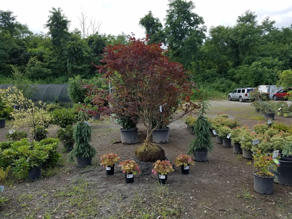 Grandview Nurseries, Inc. | 119 Tolvinski Lane, Irwin, PA 15642, USA | Phone: (724) 446-7673