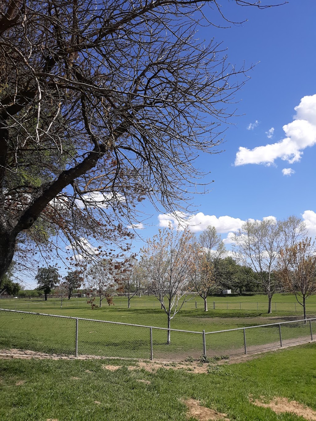 Quaile Rand Norton Park | 500 S Berkeley Ave, Turlock, CA 95380, USA | Phone: (209) 668-5594