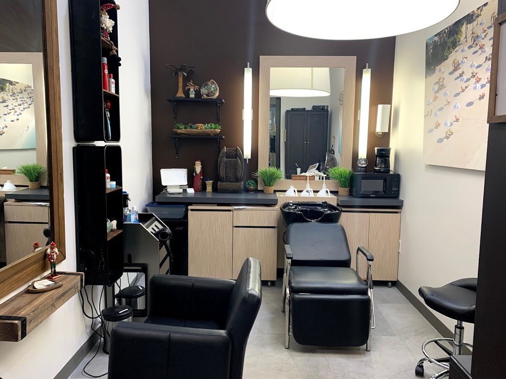 Renees Hair Studio | 2530 FL-580 Suite 22, Clearwater, FL 33761, USA | Phone: (760) 717-1699