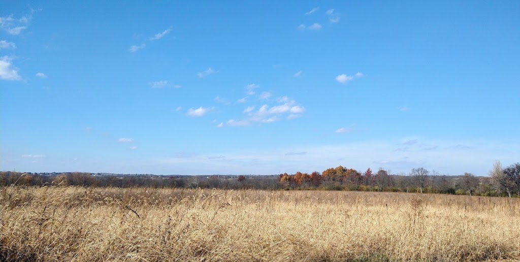 Angst Nature Preserve MetroPark | 4050 Trenton Oxford Rd, Hamilton, OH 45011, USA | Phone: (513) 867-5835