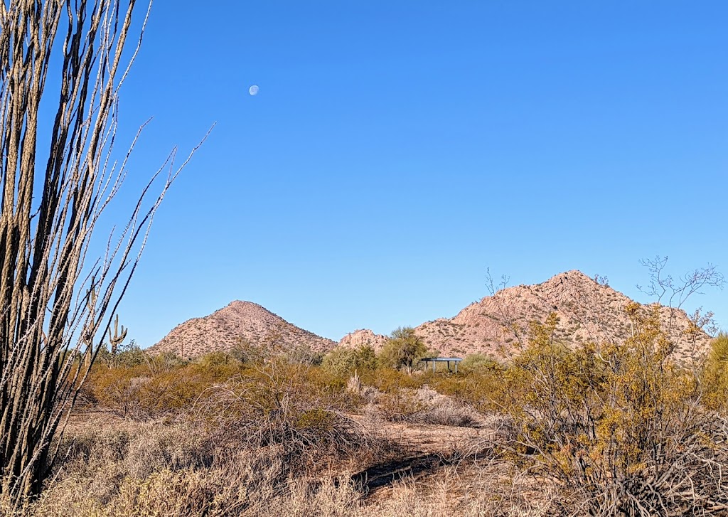 Pinal County Park West | Maricopa, AZ 85139, USA | Phone: (520) 866-6355