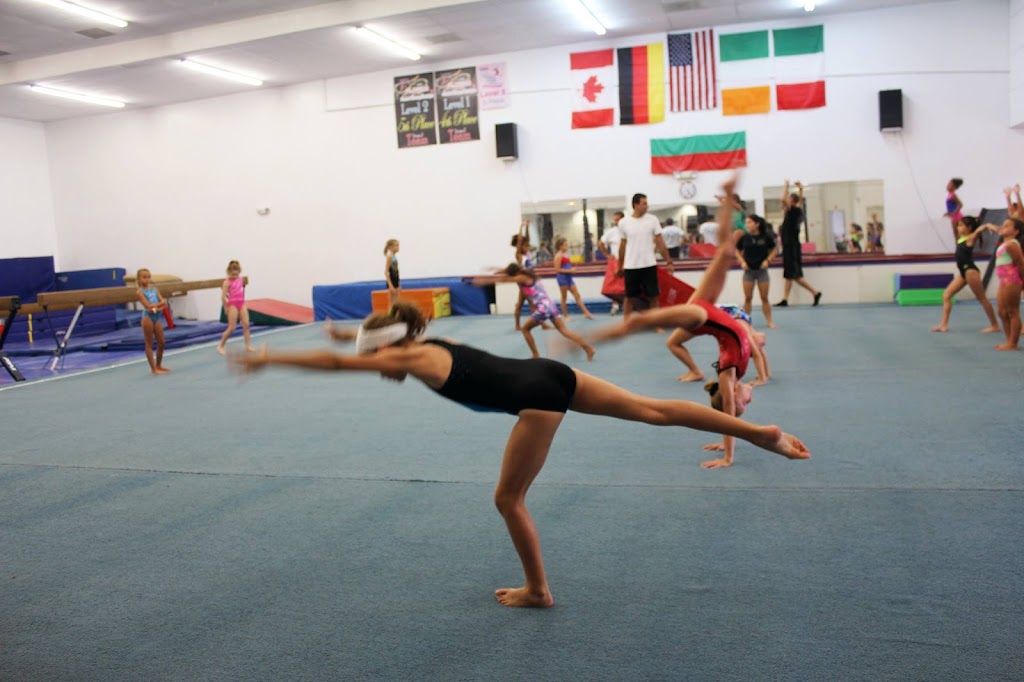 Sarasota Gymnastics Academy | 1155 Cattlemen Rd Unit A, Sarasota, FL 34232, USA | Phone: (941) 377-3344