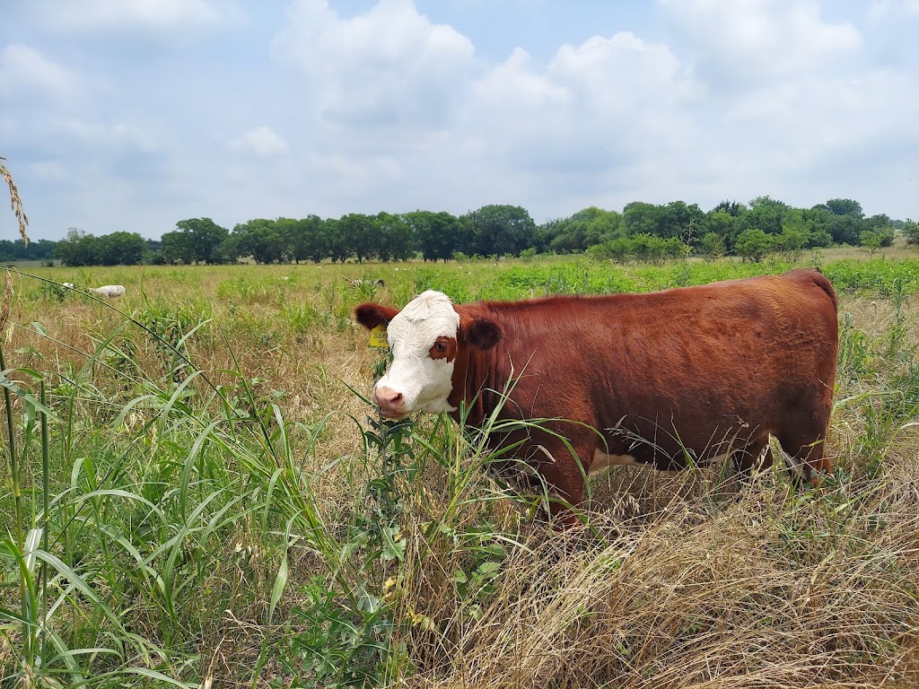 Sister Grove Farm | 1731 Jim Cannon Rd, Van Alstyne, TX 75495, USA | Phone: (903) 312-0717