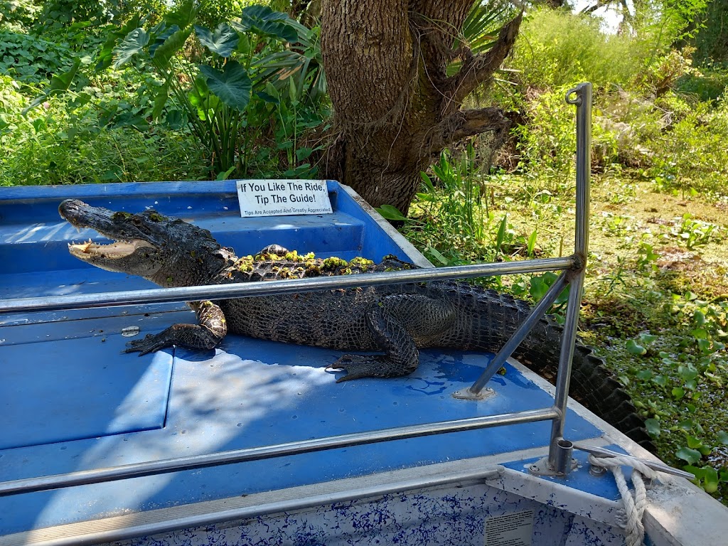 Cajun Style Swamp Tours | 9706 Barataria Blvd, Marrero, LA 70072, USA | Phone: (504) 628-8848