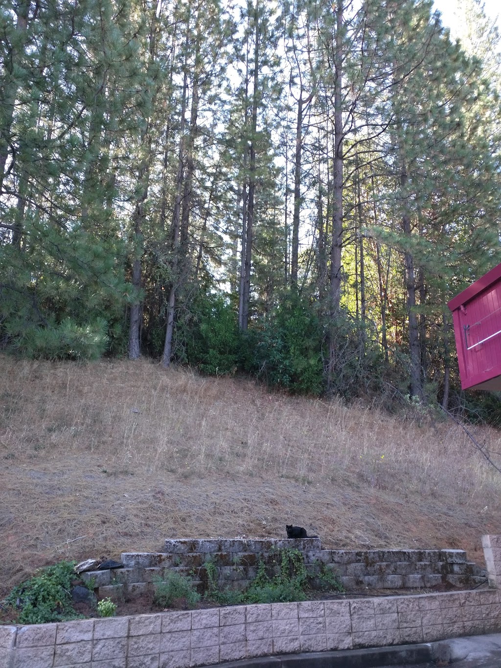 Red Corral Mini Mart | 22500 CA-88, Pioneer, CA 95666, USA | Phone: (209) 295-5400