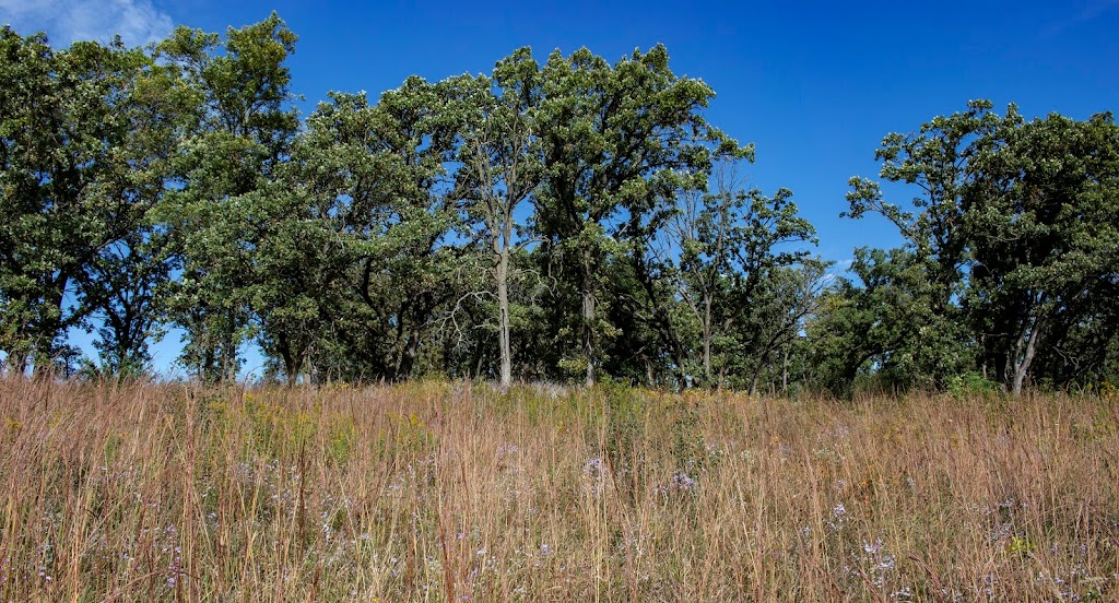 Barneveld Prairie | County Highway T, Barneveld, WI 53507, USA | Phone: (608) 924-8881