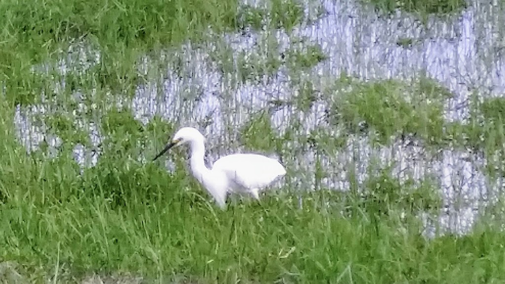 AgentJane Health & Life | 2313 Bay Blvd, Indian Rocks Beach, FL 33785, USA | Phone: (727) 314-0116