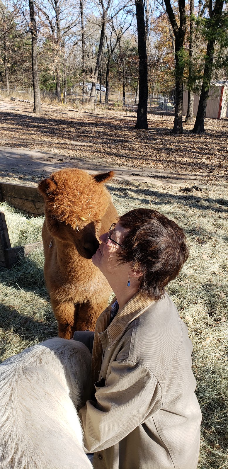 Timber Lodge Alpacas | 1241 Brooks Ln, Kaufman, TX 75142, USA | Phone: (972) 962-8317