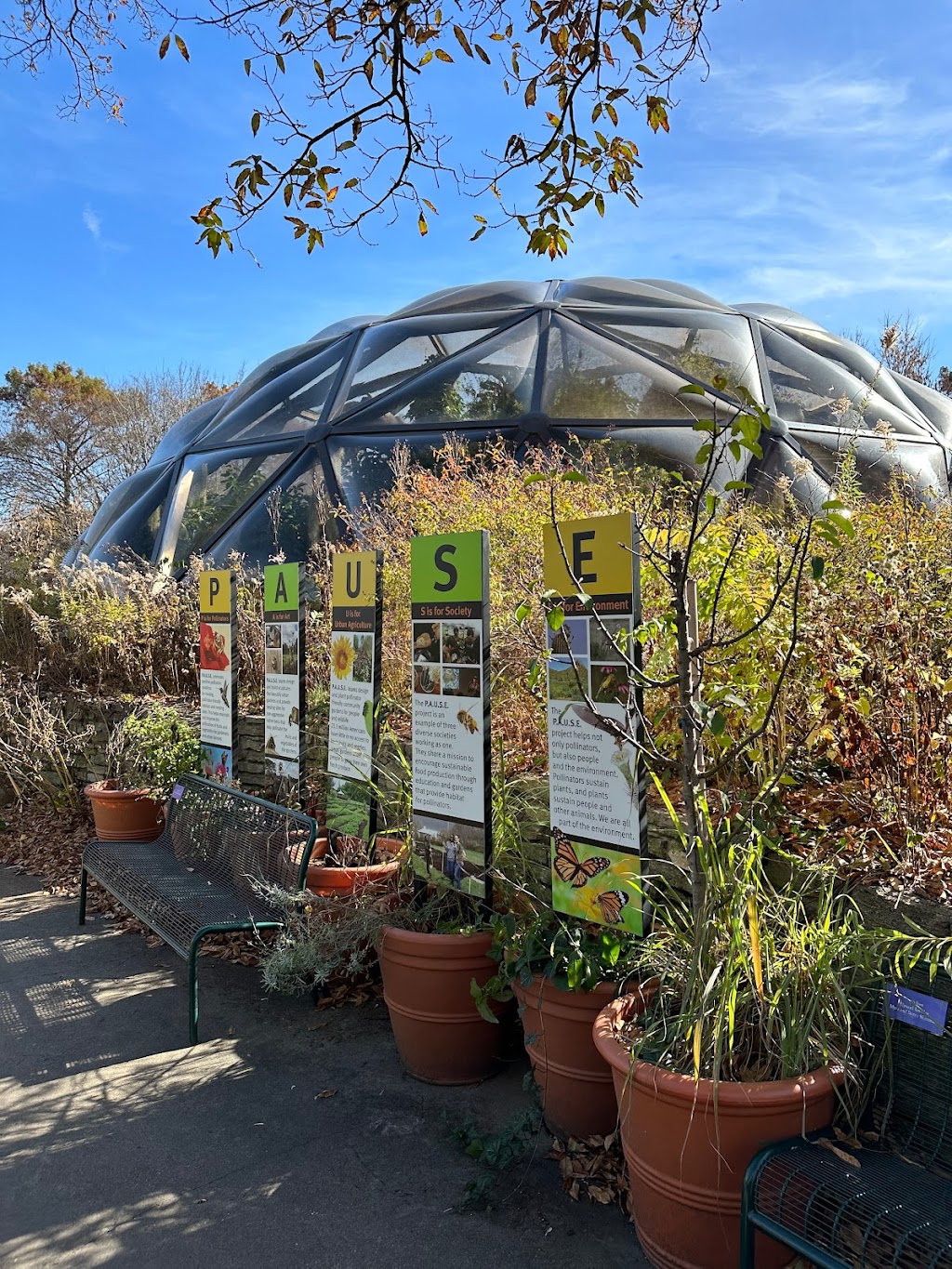 The Bayer Insectarium | Living World Building-St. Louis Zoo, Government Dr, St. Louis, MO 63110 | Phone: (314) 781-0900