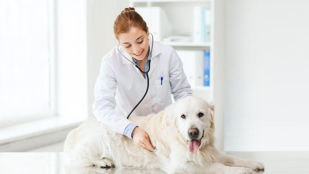 Arlington Veterinary Clinic | 17551 US-68, Arlington, OH 45814, USA | Phone: (419) 365-5341