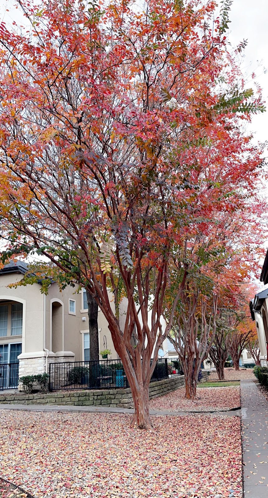 Independence Crossing Apartments | 6501 Independence Pkwy, Plano, TX 75023, USA | Phone: (972) 208-5349