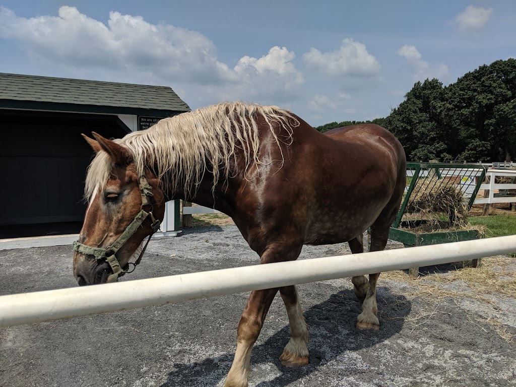 Green Meadows Petting Farm | 10102 Fingerboard Rd, Ijamsville, MD 21754, USA | Phone: (301) 865-9203