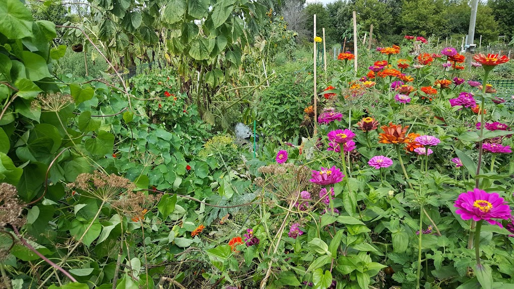 Sun Prairie Community Gardens | 1320-1350 Linnerud Dr, Sun Prairie, WI 53590 | Phone: (608) 837-5877