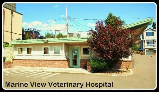 Marine View Veterinary Hospital | 22616 Marine View Dr S, Des Moines, WA 98198, USA | Phone: (206) 202-3336