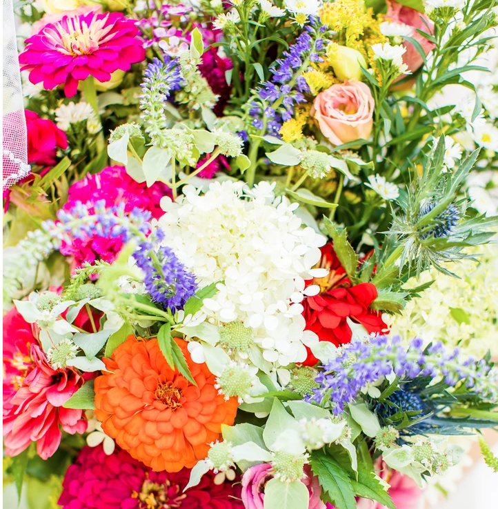 Wildly Native - Flower Farm and Florist | 7060 Broad Neck Rd, Chestertown, MD 21620, USA | Phone: (443) 457-8475