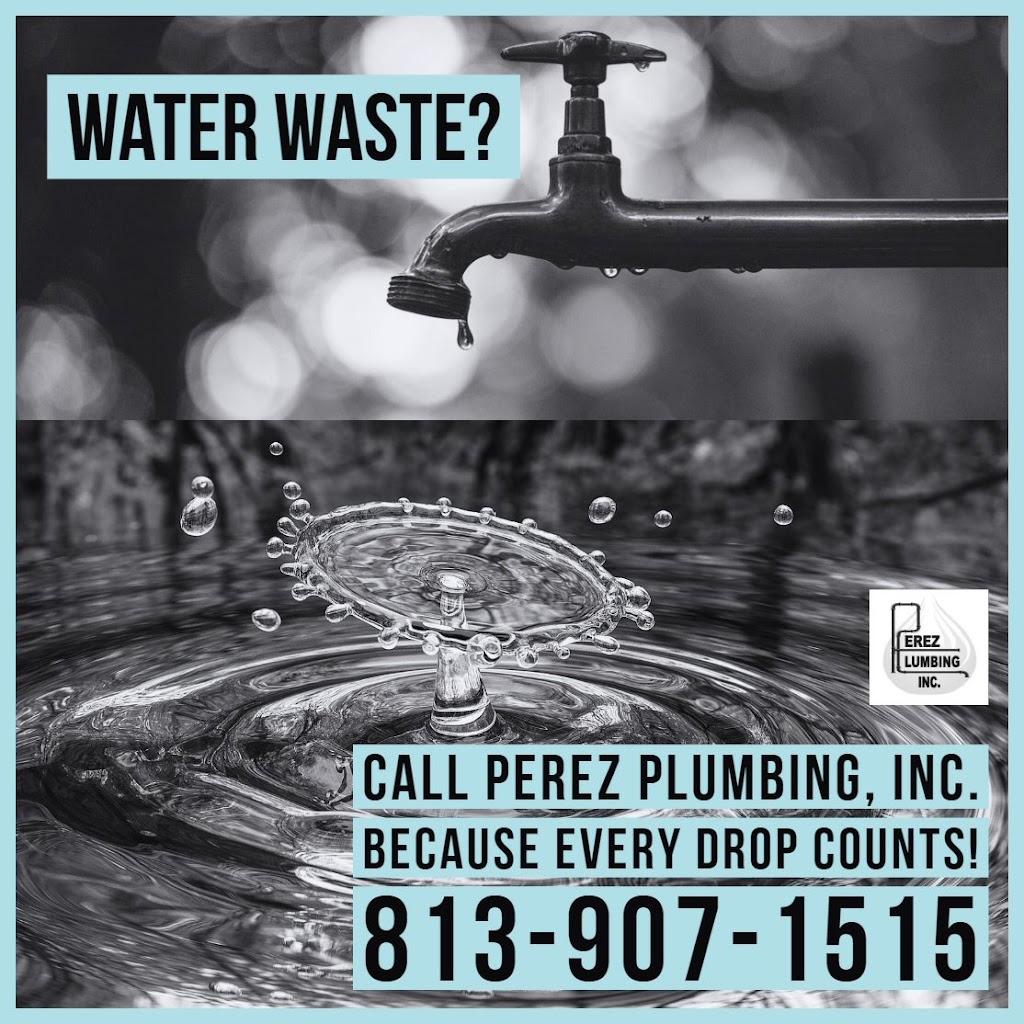 Perez Plumbing, Inc. | 3526 Williston Loop, Land O Lakes, FL 34639, USA | Phone: (813) 907-1515