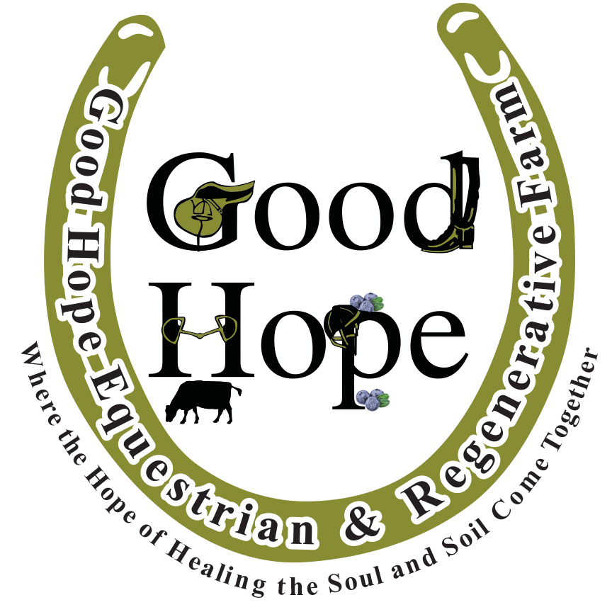 Good Hope Equestrian & Regenerative Farm | 1108 Wild Turkey Run, Halifax, VA 24558, United States | Phone: (305) 297-4729
