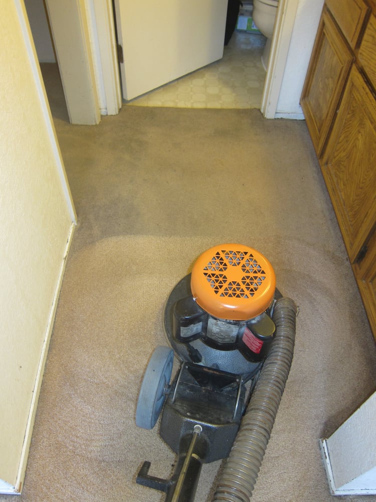 All Pro Carpet Cleaning | 15166 Los Gatos Blvd, Los Gatos, CA 95032, USA | Phone: (408) 560-4892