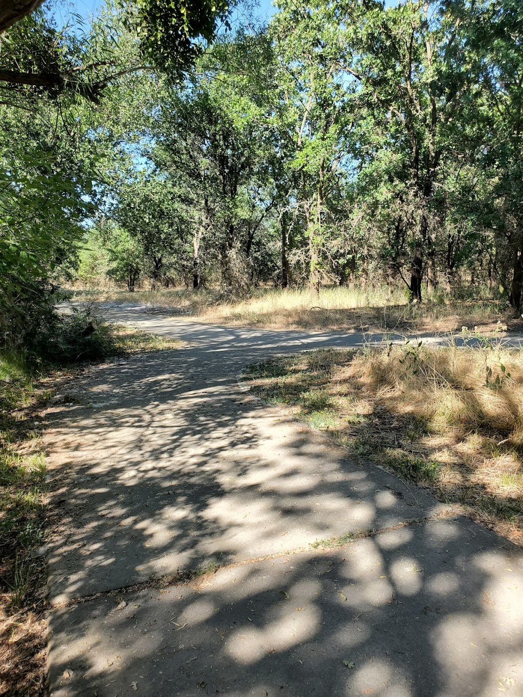 Cosumnes River Preserve | 13501 Franklin Blvd, Galt, CA 95632, USA | Phone: (916) 684-2816