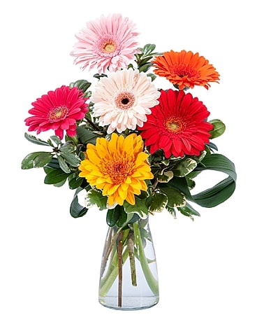 Villager Flowers, Gifts & Flower Delivery | 5278 W Broad St, Columbus, OH 43228, United States | Phone: (614) 878-7625