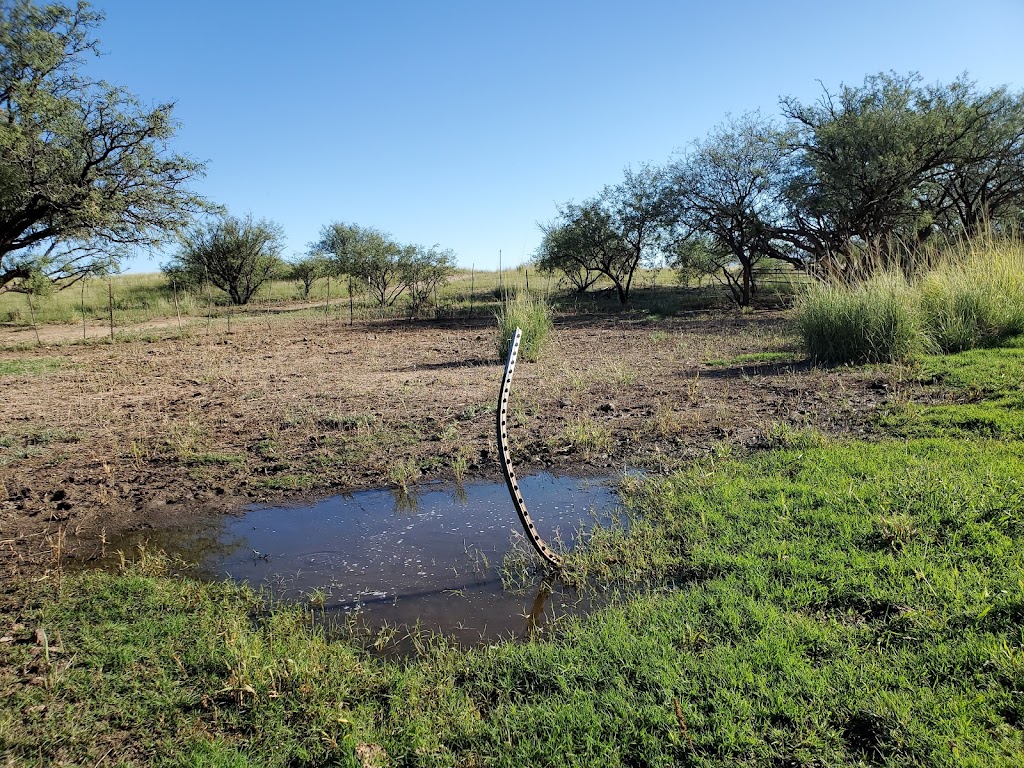 Las Cienegas National Conservation Area | 3201 E Universal Way, Tucson, AZ 85756, USA | Phone: (520) 258-7200