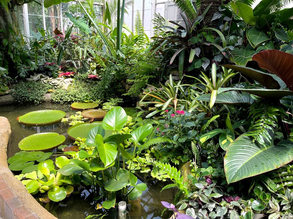 Garfield Park Conservatory | 2505 Conservatory Dr, Indianapolis, IN 46203 | Phone: (317) 327-7183