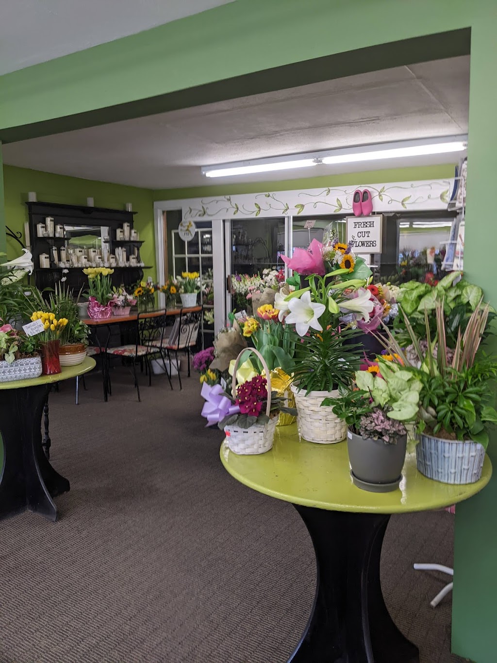 Hollands Flowers | 577 S Main St, Haverhill, MA 01835, USA | Phone: (978) 373-1700