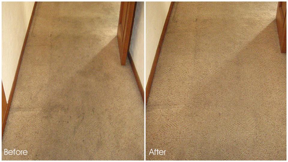 Carpet Cleaning Coppell TX | 120 E Bethel School Rd, Coppell, TX 75019, USA | Phone: (469) 215-2059