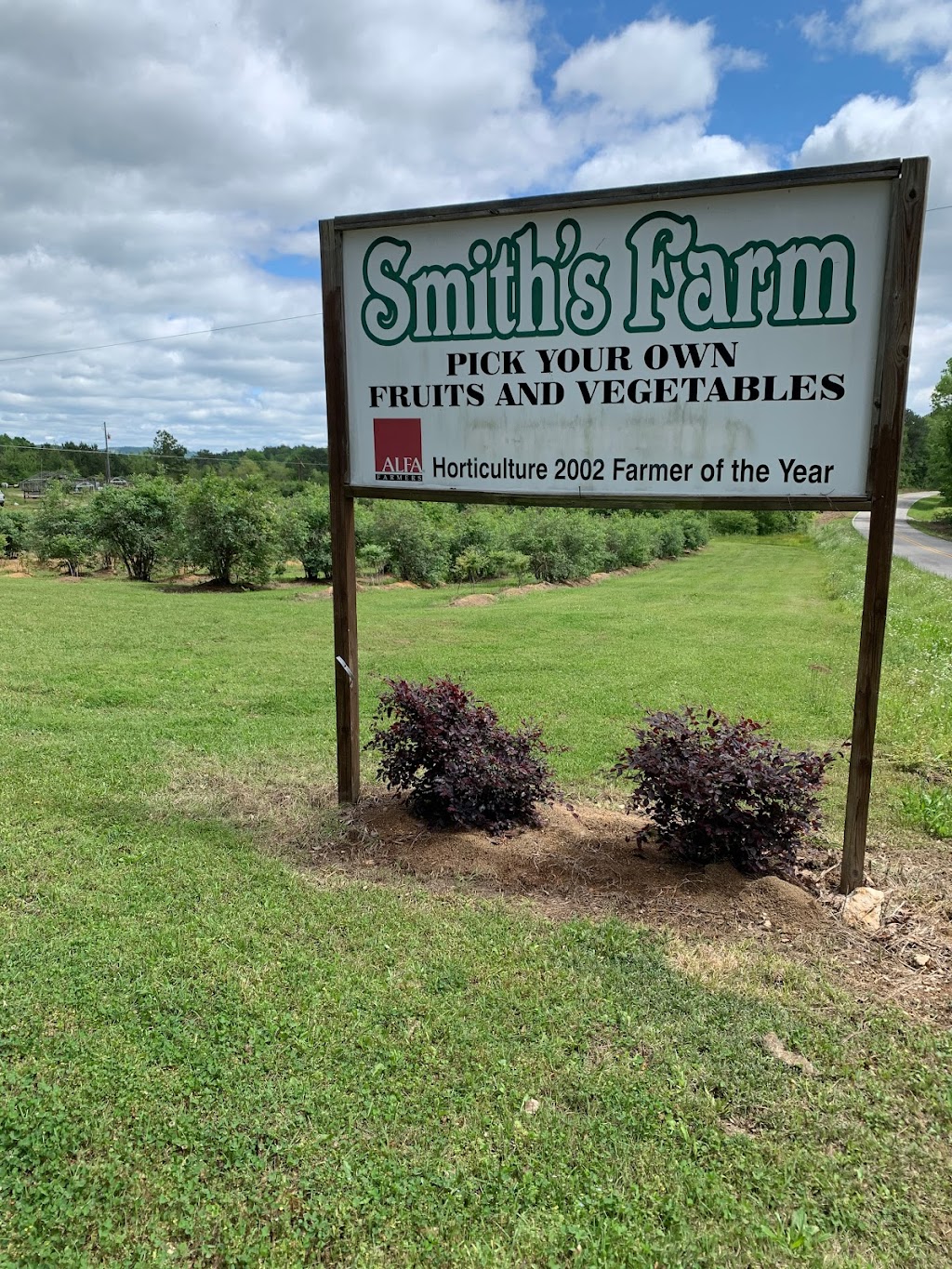 Smith U-Pik Blueberry Farm | 8939 Co Rd 51, Sterrett, AL 35147, USA | Phone: (205) 678-6994