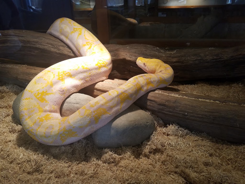 Reptile Zoo | 22715 US-2, Monroe, WA 98272, USA | Phone: (360) 805-5300