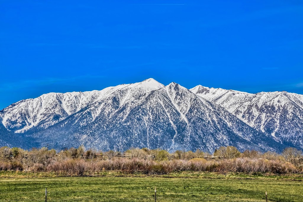 Peak Real Estate | 800 E College Pkwy, Carson City, NV 89706, USA | Phone: (775) 722-6337