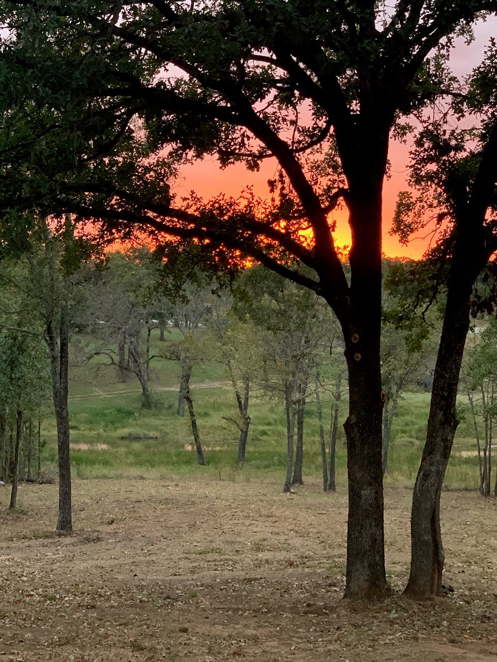 Deschain Cellars and Winery | 8363 US-82, Gainesville, TX 76240, USA | Phone: (940) 202-9011