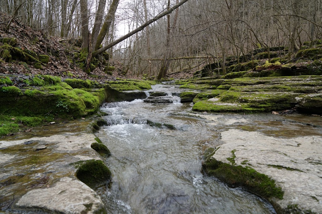 Raven Run Nature Sanctuary | 3885 Raven Run Wy, Lexington, KY 40515, USA | Phone: (859) 272-6105