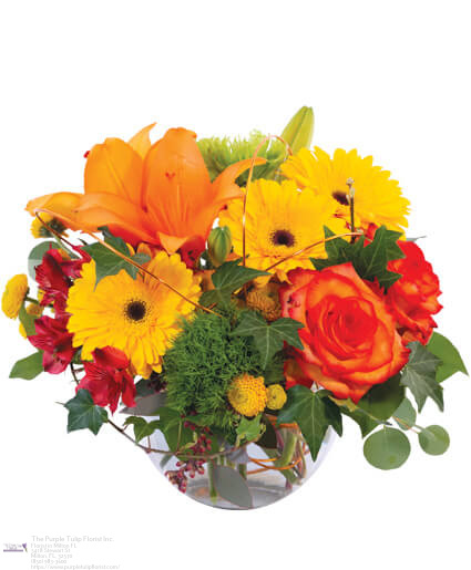 The Purple Tulip Florist Inc. | 5418 Stewart St, Milton, FL 32570, United States | Phone: (850) 983-3600