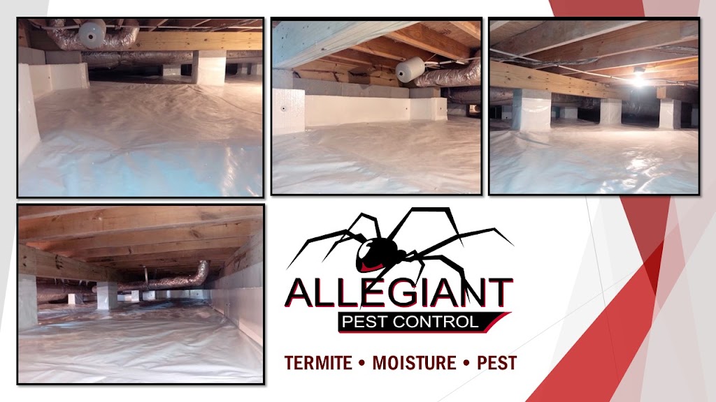 Allegiant Pest Control | 245 US-158, Camden, NC 27921, USA | Phone: (252) 331-7628