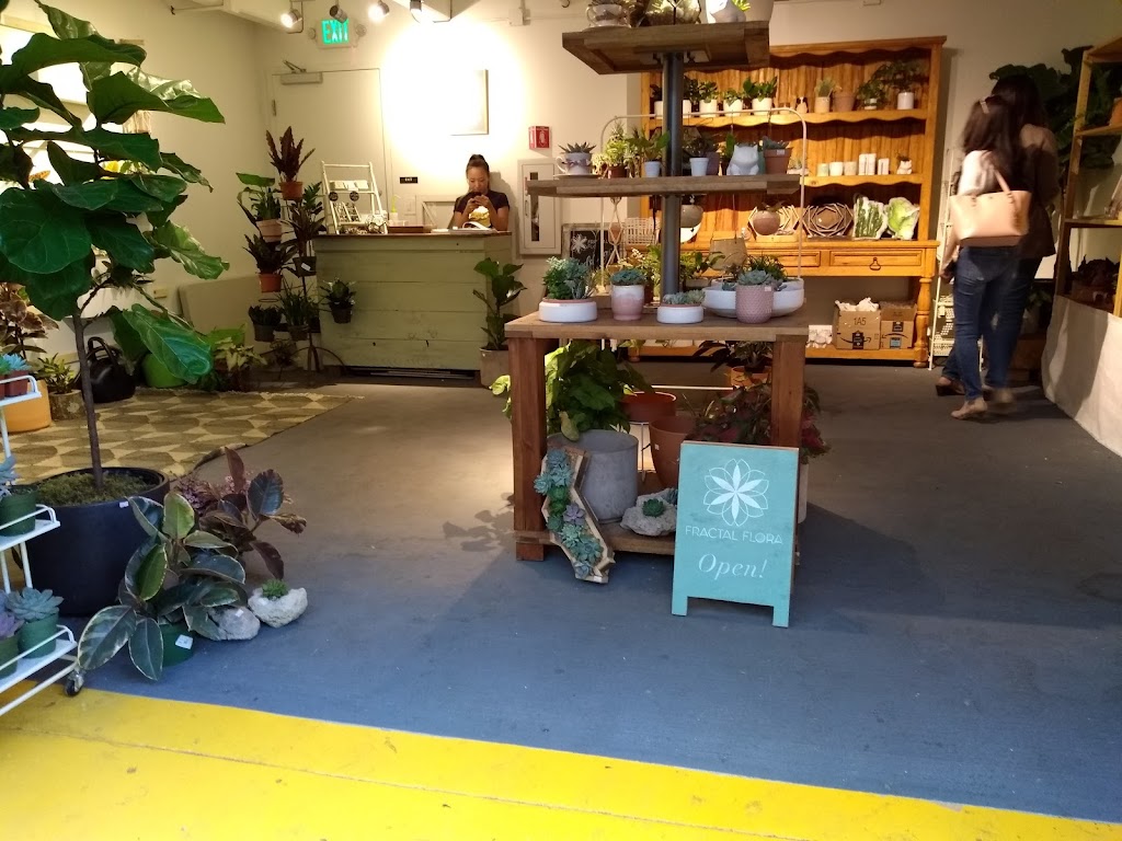 Fractal Flora | 1461 Park Ave, San Jose, CA 95126, USA | Phone: (650) 314-9853