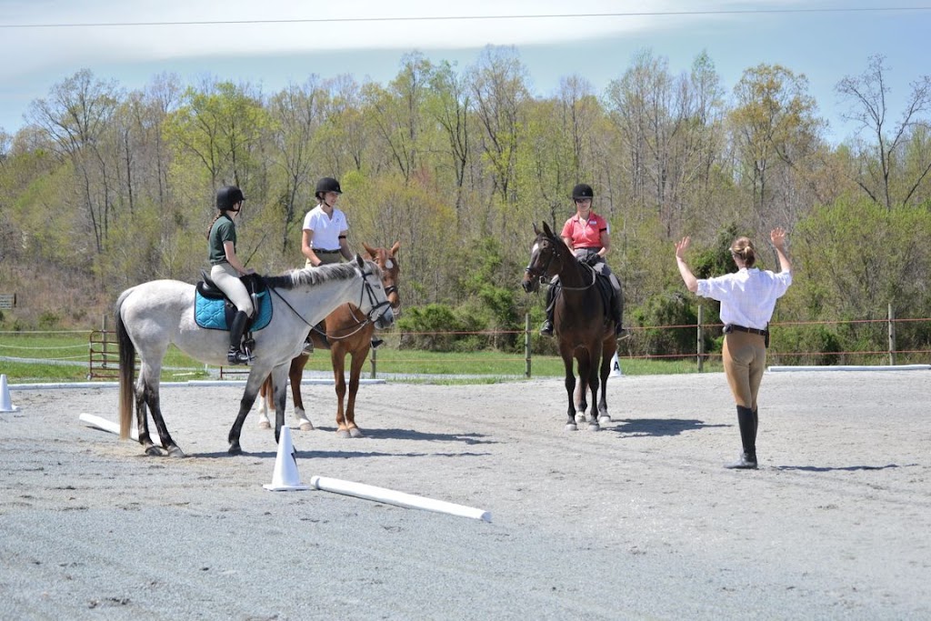 Sport of Horses Park | 1755 Quakenbush Rd, Snow Camp, NC 27349, USA | Phone: (866) 800-0764