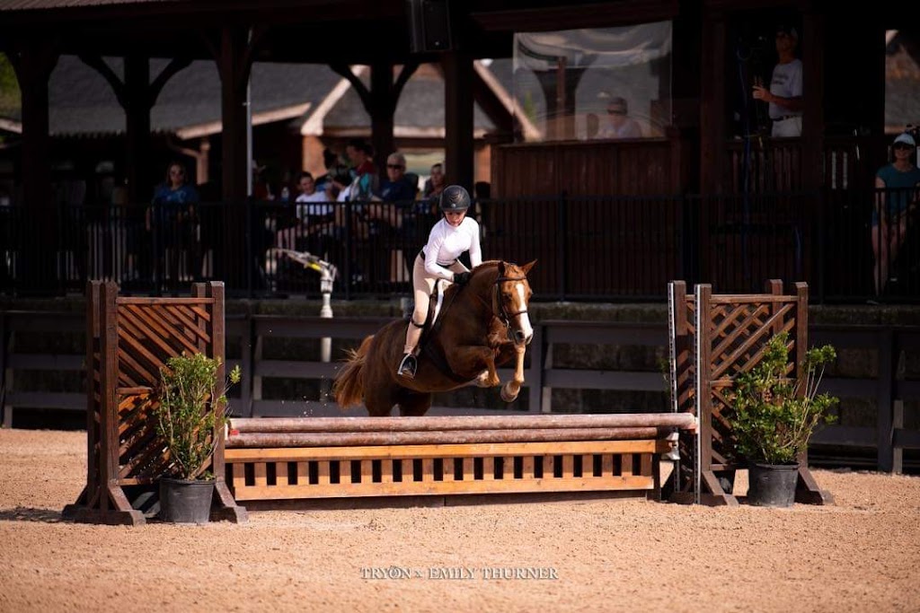 Equilux Show Stables | 15721 SW 51st Manor, Southwest Ranches, FL 33331, USA | Phone: (954) 257-0470