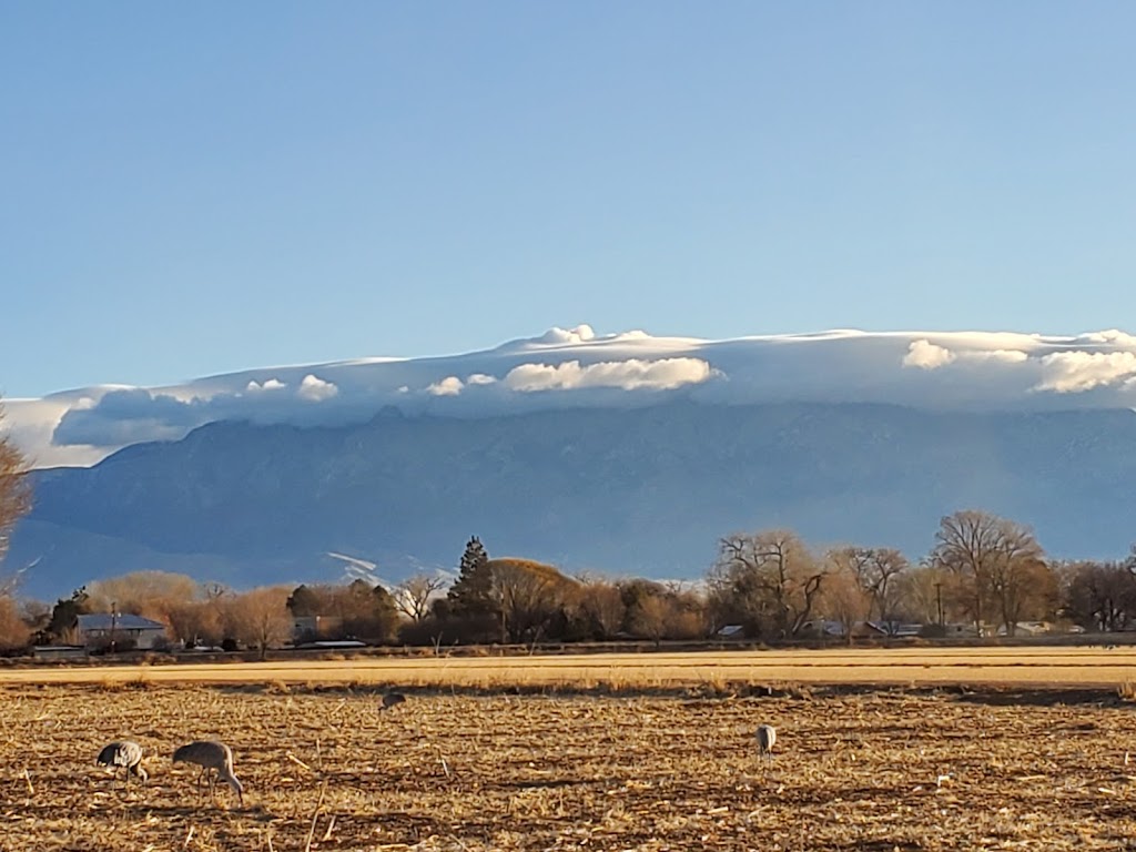 Los Poblanos Fields Open Space | 6000-6018 Los Poblanos Field Trails, Albuquerque, NM 87107, USA | Phone: (505) 768-4200