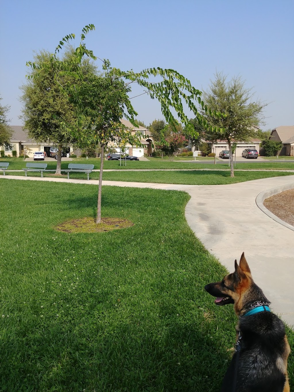 Sandpiper Park | 11830 Appolon Dr, Rancho Cordova, CA 95742, USA | Phone: (916) 369-9844 Sandpiper Park | 11830 Appolon Dr, Rancho Cordova, CA 95742, USA | Phone: (916) 369-9844