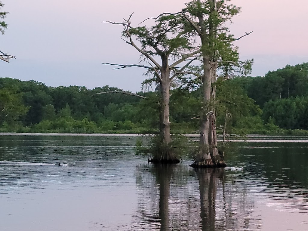 Lakeside Restaurant | 1955 Allen Rd, Lanexa, VA 23089, USA | Phone: (804) 966-7247