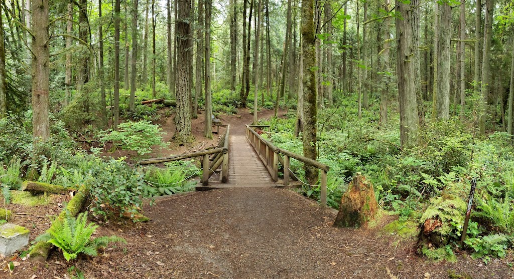 Grand Forest West | 9752 Miller Rd NE, Bainbridge Island, WA 98110, USA | Phone: (206) 842-2306