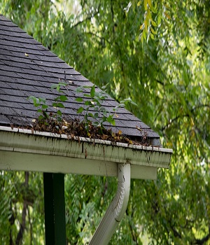 The Holy City Gutters Solutions | 7395 Cross County Rd, North Charleston, SC 29418, United States | Phone: (843) 352-9269