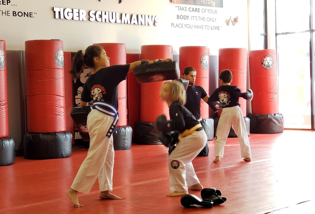 Tiger Schulmanns Martial Arts (Glendale, NY) | 73-25 Woodhaven Blvd, Queens, NY 11385, USA | Phone: (718) 301-0966