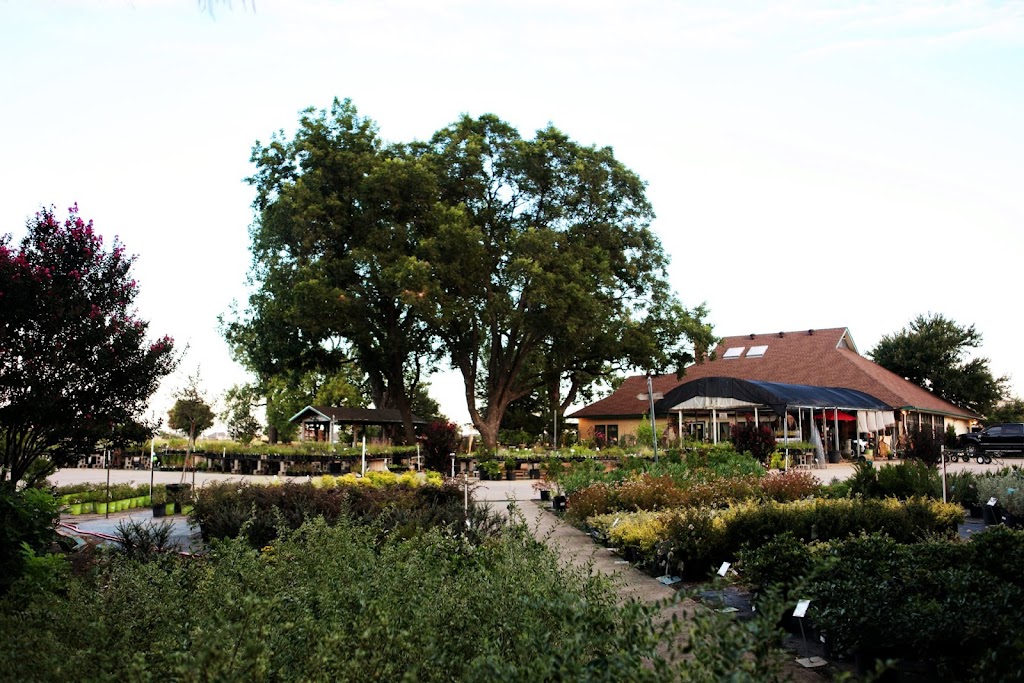 Shades of Green Nursery + Landscape | 7401 Coit Rd, Frisco, TX 75035, USA | Phone: (972) 335-9095