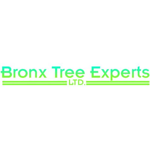 Bronx Tree Pro - Tree Removal, Cutting & Trimming Service | 3175 Wissman Ave, The Bronx, NY 10465, United States | Phone: (718) 450-9292