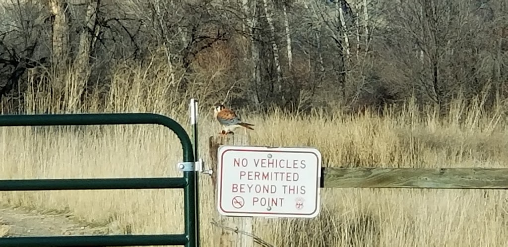 Payette River Wildlife Management Area | 4660 NW 2nd Ave, New Plymouth, ID 83655, USA | Phone: (208) 465-8465