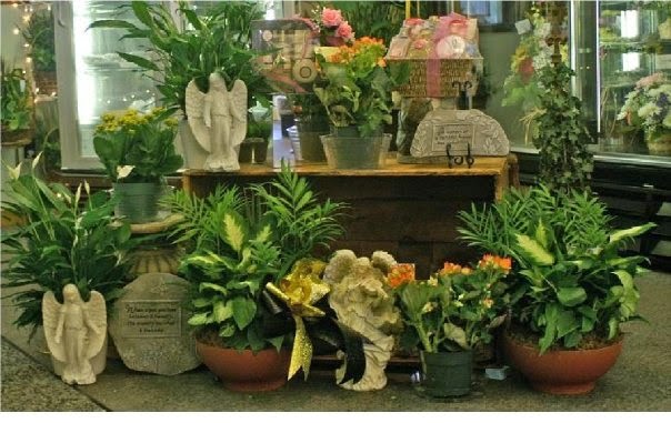 Springdale Floral and Gift Shop | 902 Pittsburgh St, Springdale, PA 15144, USA | Phone: (724) 274-6211