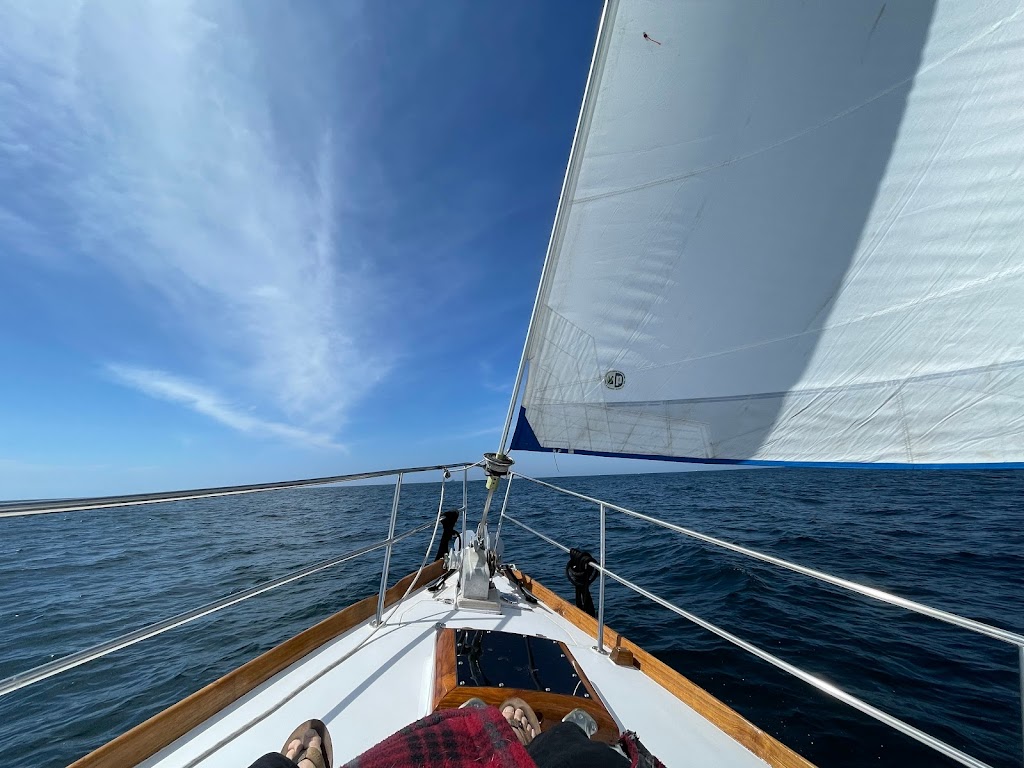 Seadawg Sailing Charters | 1900 N Harbor Dr, Oceanside, CA 92054 | Phone: (858) 255-0783
