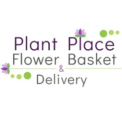 Plant Place Flower Basket & Delivery | 1061 Niagara Falls Blvd, Amherst, NY 14226, United States | Phone: (716) 838-3400